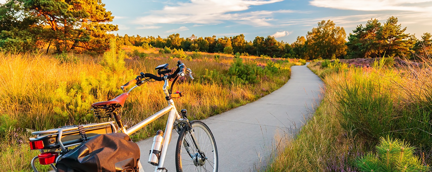 Een herenfiets staat stil op een pad te midden van een veld, omgeven door een rustige en natuurlijke omgeving.
