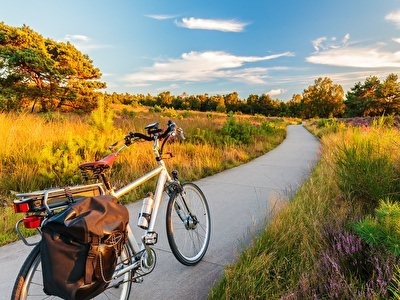 Een herenfiets staat stil op een pad te midden van een veld, omgeven door een rustige en natuurlijke omgeving.